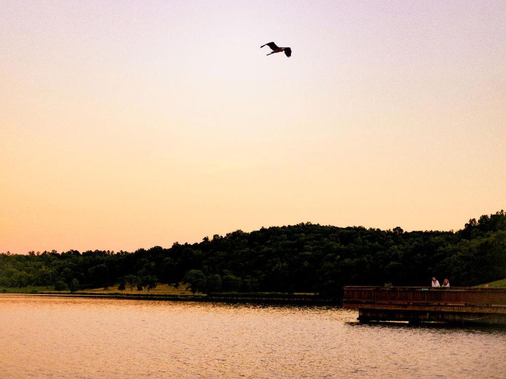 Ymca Trout Lodge Potosi Bagian luar foto